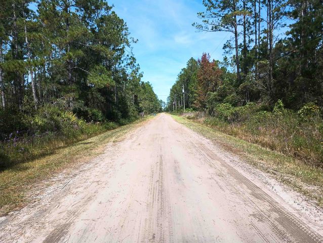 10520 Beckenger Ave, Hastings, FL 32145