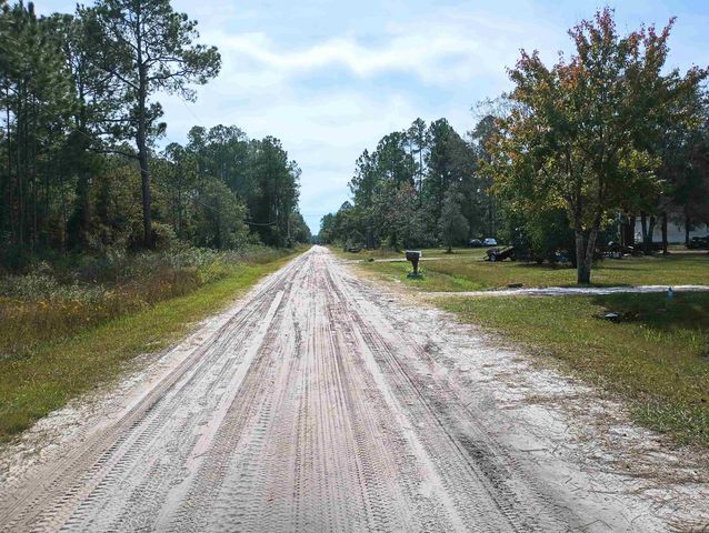 10520 Beckenger Ave, Hastings, FL 32145