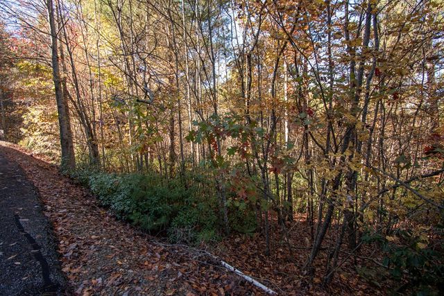 66 Choctaw Ridge Trail, Murphy, NC 28906