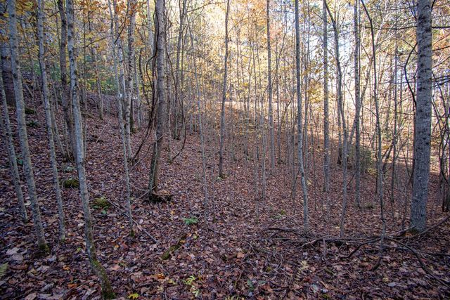 66 Choctaw Ridge Trail, Murphy, NC 28906