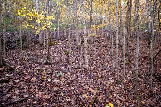66 Choctaw Ridge Trail, Murphy, NC 28906