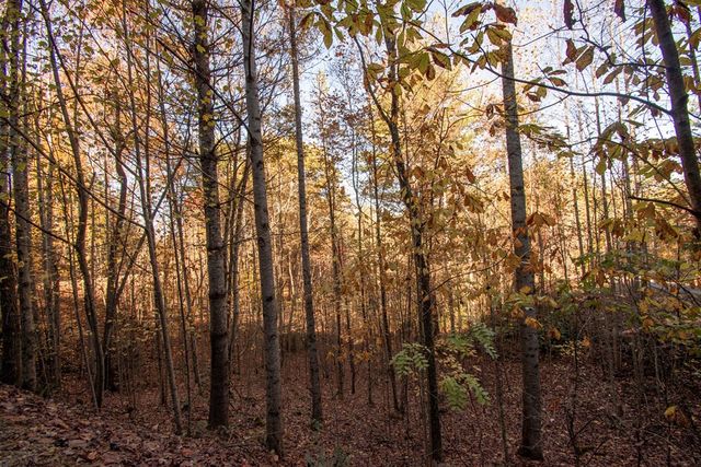 66 Choctaw Ridge Trail, Murphy, NC 28906