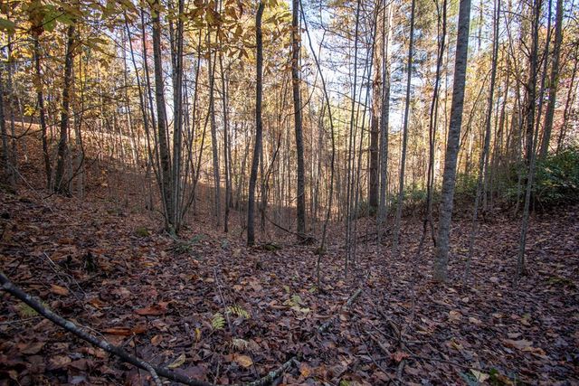 66 Choctaw Ridge Trail, Murphy, NC 28906