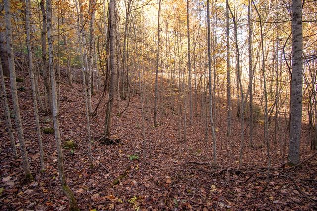 66 Choctaw Ridge Trail, Murphy, NC 28906
