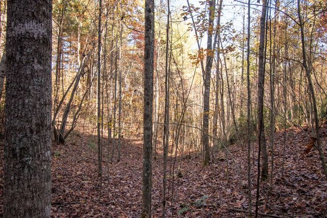 66 Choctaw Ridge Trail, Murphy, NC 28906