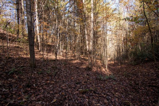 66 Choctaw Ridge Trail, Murphy, NC 28906