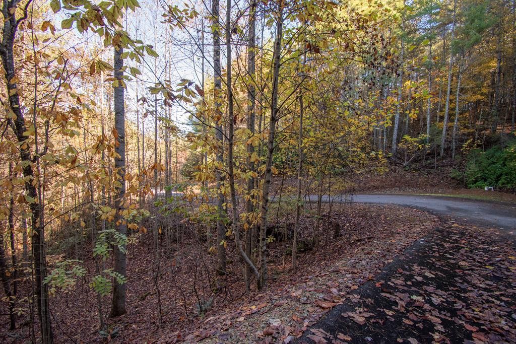 66 Choctaw Ridge Trail, Murphy, NC 28906
