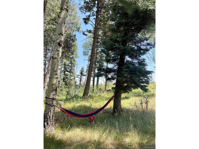 1939 Korlkoff Ln, Fort Garland, CO 81133