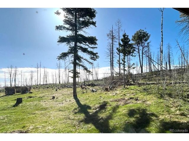 1939 Korlkoff Ln, Fort Garland, CO 81133