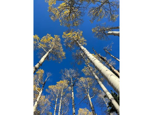 1939 Korlkoff Ln, Fort Garland, CO 81133