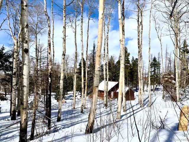 1939 Korlkoff Ln, Fort Garland, CO 81133