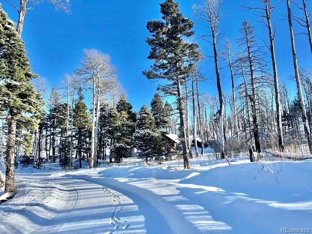 1939 Korlkoff Ln, Fort Garland, CO 81133