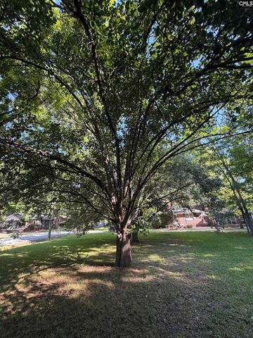 1514 Mower, Newberry, SC 29108