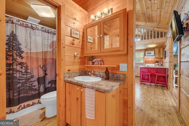 112 & 106 River Vista Drive 112 & 106, Dillard, GA 30537