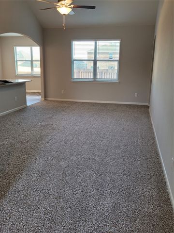 313 Zimmet Drive, Anna, TX 75409