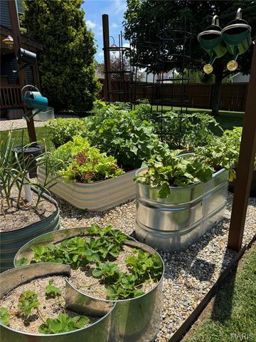 1129 Maclean Drive, O'fallon, IL 62269