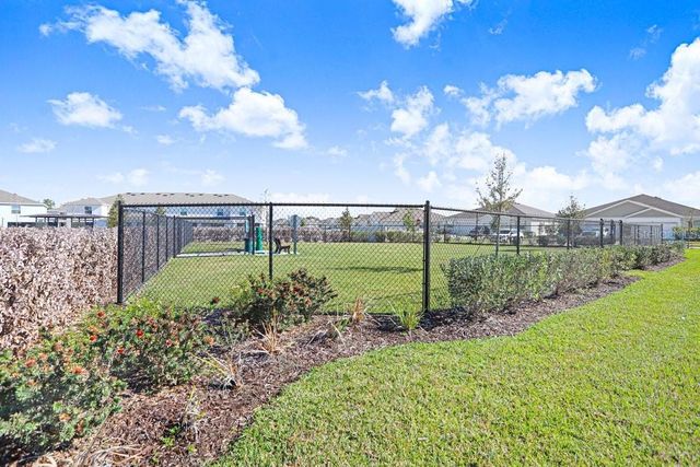 31298 PAPER BIRCH STREET, Wesley Chapel, FL 33545