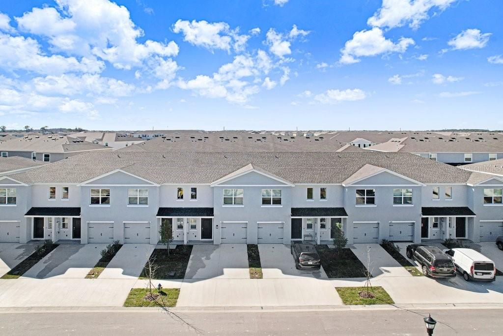 31298 PAPER BIRCH STREET, Wesley Chapel, FL 33545