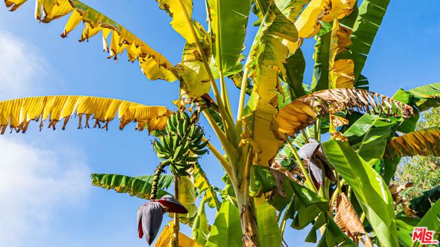 425 Fern Dell Place, Glendora, CA 91741