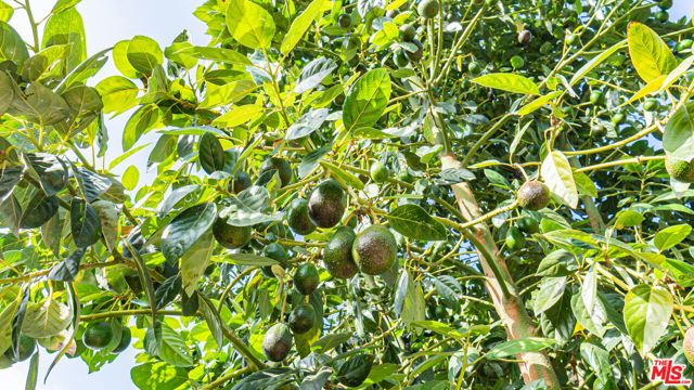 425 Fern Dell Place, Glendora, CA 91741