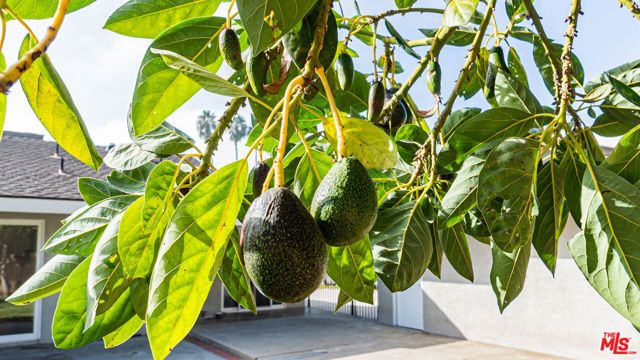 425 Fern Dell Place, Glendora, CA 91741