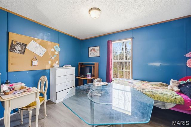 10828 Jayhawk Road, Irondale, MO 63648