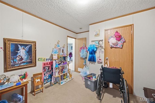 10828 Jayhawk Road, Irondale, MO 63648