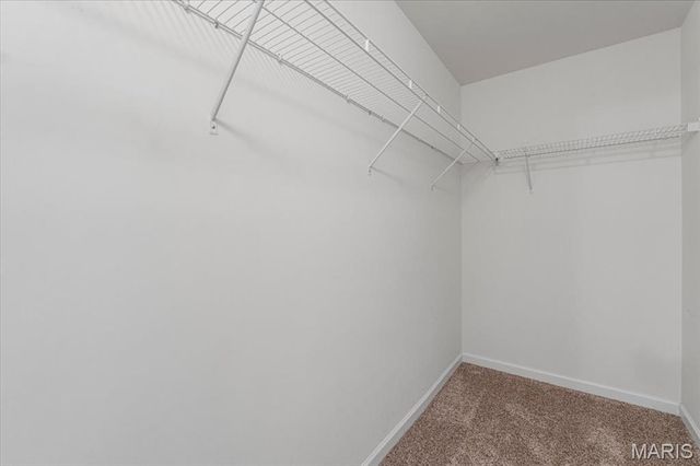 4227 Forder Heights Drive, St Louis, MO 63129