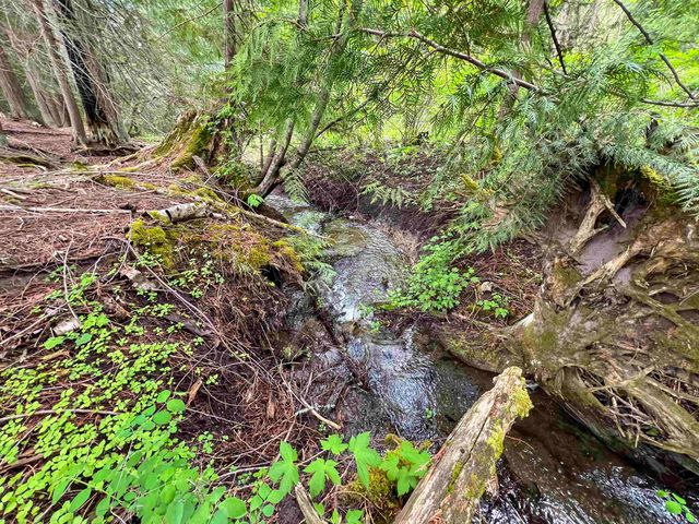 3115 Beardslee Rd, Kettle Falls, WA 99141