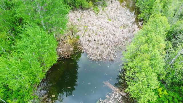 3115 Beardslee Rd, Kettle Falls, WA 99141