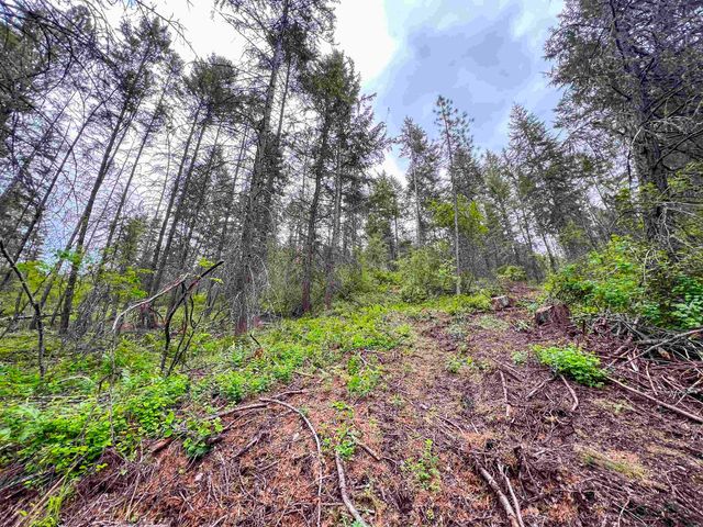 3115 Beardslee Rd, Kettle Falls, WA 99141