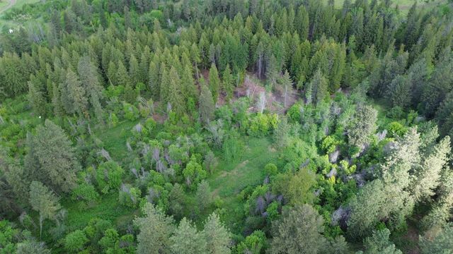3115 Beardslee Rd, Kettle Falls, WA 99141
