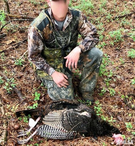 28 PERKINS Lane, Golconda, IL 62938