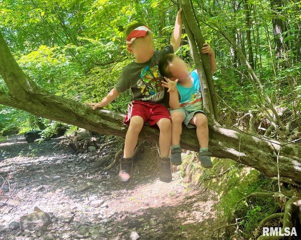 28 PERKINS Lane, Golconda, IL 62938