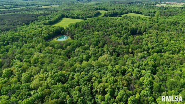 28 PERKINS Lane, Golconda, IL 62938