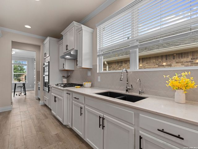 13039 SALTY SPGS, San Antonio, TX 78253
