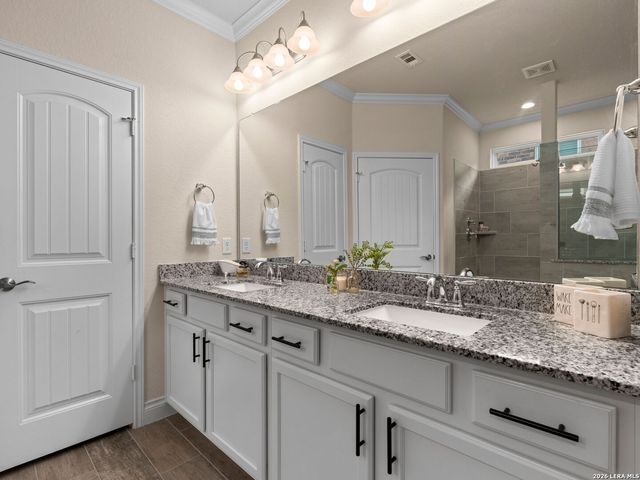 13039 SALTY SPGS, San Antonio, TX 78253
