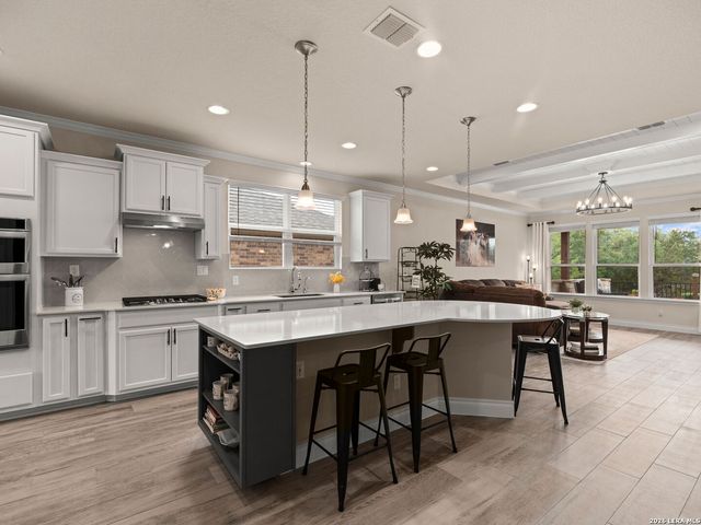 13039 SALTY SPGS, San Antonio, TX 78253