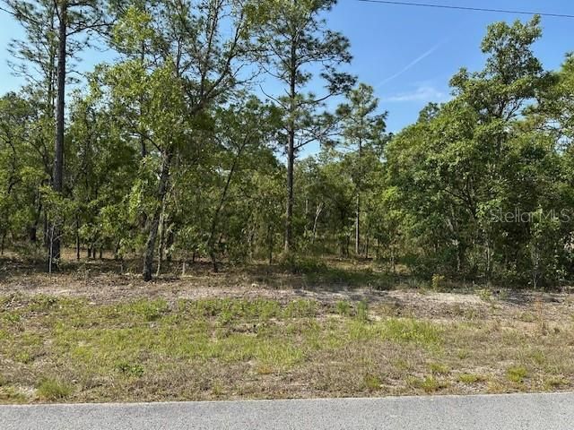 Lot 20 SW ANCHOR BLVD, Dunnellon, FL 34431
