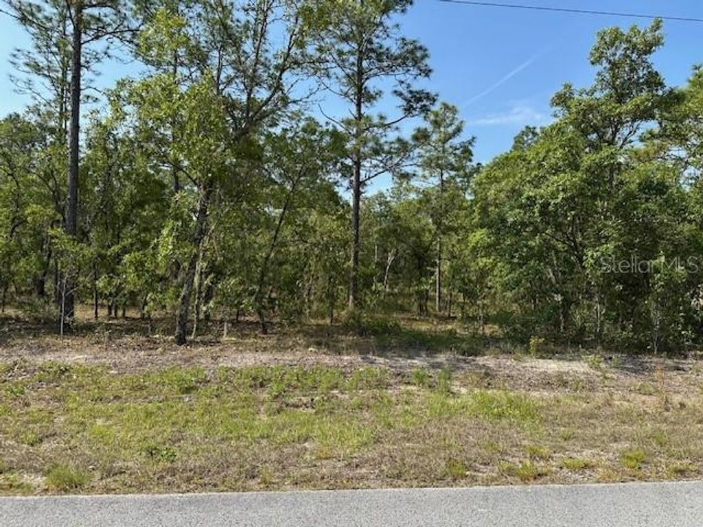 Lot 20 SW ANCHOR BLVD, Dunnellon, FL 34431