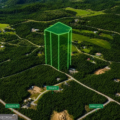 0 Pine Woods Drive, Blairsville, GA 30512