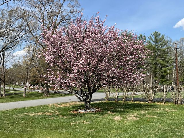 400 Woodland CIR, Lynchburg, VA 24502