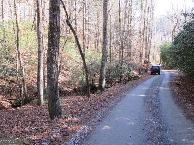 LOT 58 Doe Run, Ellijay, GA 30540