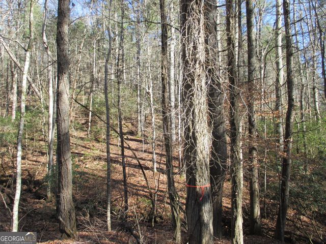 LOT 58 Doe Run, Ellijay, GA 30540