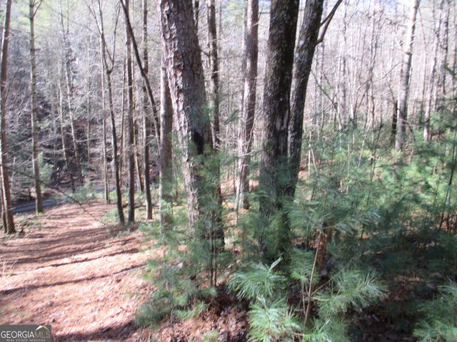 LOT 58 Doe Run, Ellijay, GA 30540