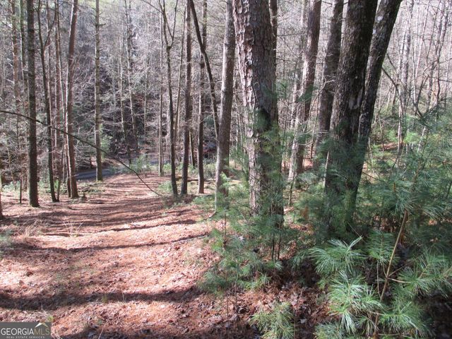 LOT 58 Doe Run, Ellijay, GA 30540