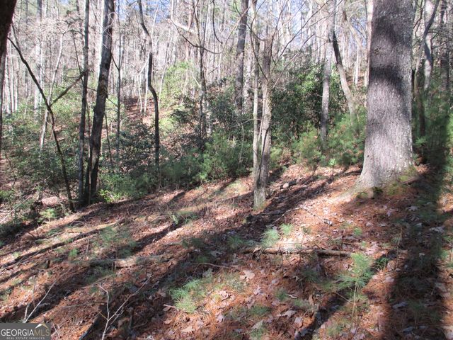LOT 58 Doe Run, Ellijay, GA 30540