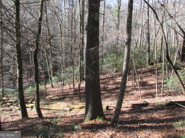 LOT 58 Doe Run, Ellijay, GA 30540
