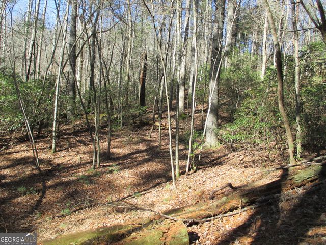 LOT 58 Doe Run, Ellijay, GA 30540