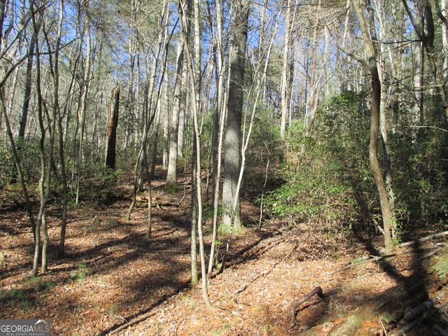 LOT 58 Doe Run, Ellijay, GA 30540